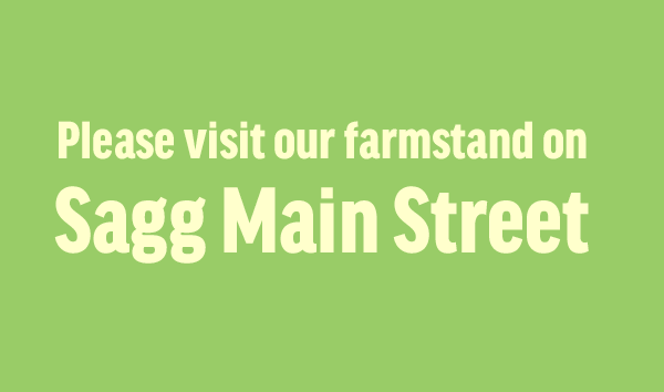 114 Sagg Main Street